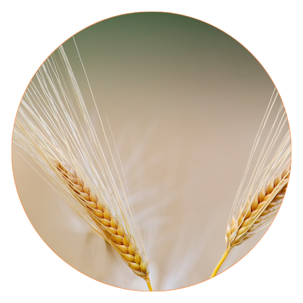 Klinik Psikolog Tansu Canpolat ile iletişime geçmek için randevu alın.